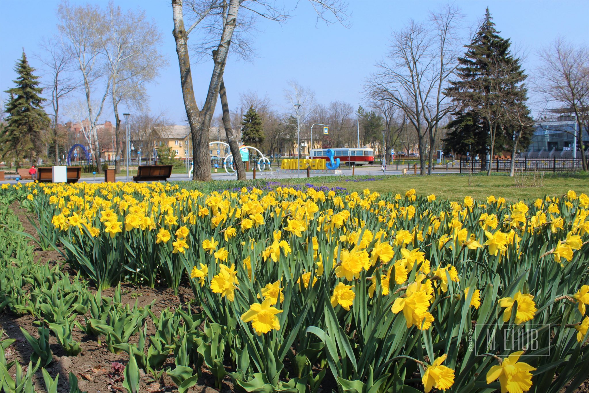 Парк веселка мариуполь фото